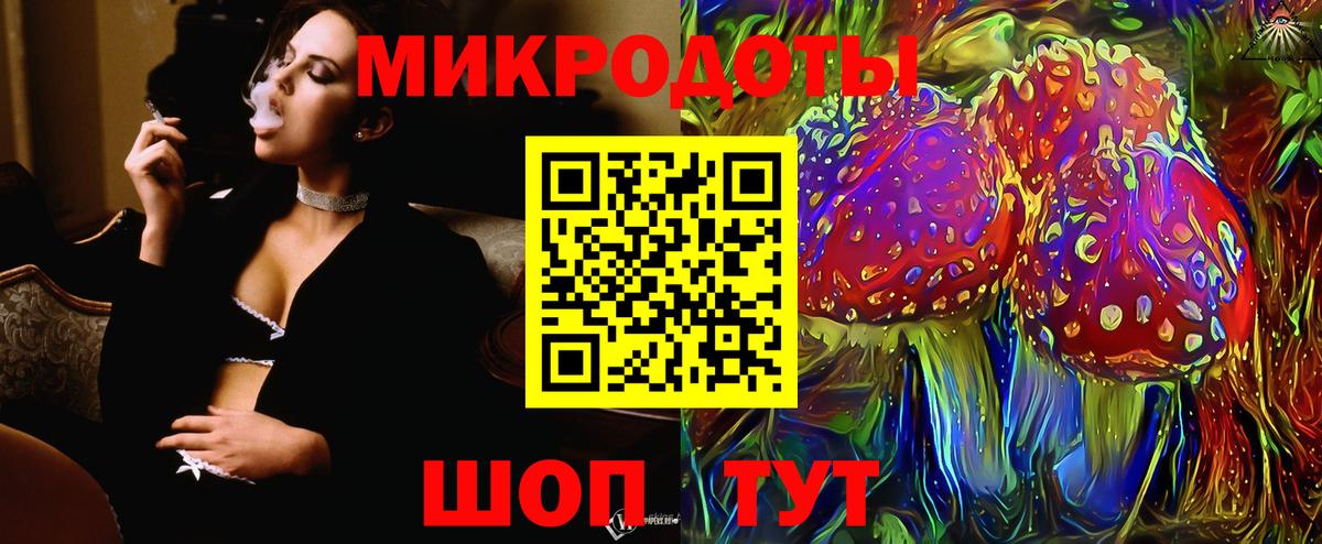 Псилоцибиновые грибы Cubensis Каспийск