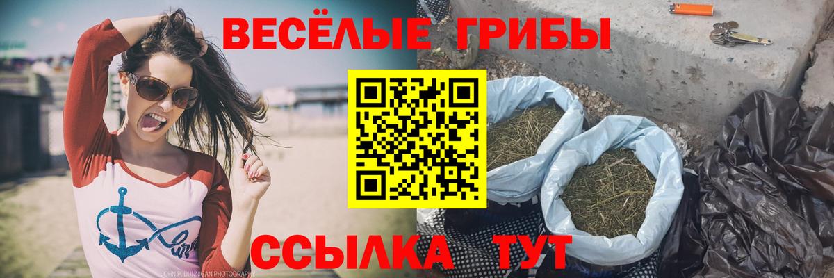Псилоцибиновые грибы Psilocybe  дарнет шоп  Каспийск  Псилоцибиновые грибы мицелий  Вход с VPN 